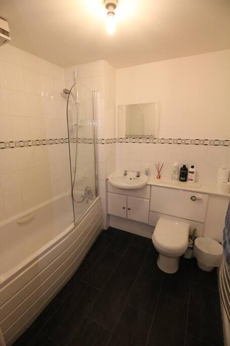 3 Bedroom Flat 10 Mins Walk To Bay And City Center Free Parking Кардіфф Екстер'єр фото